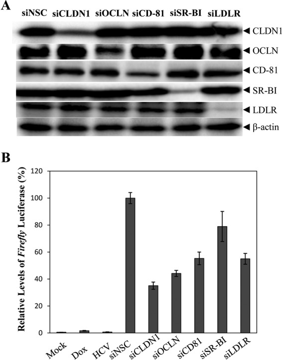 FIG 6