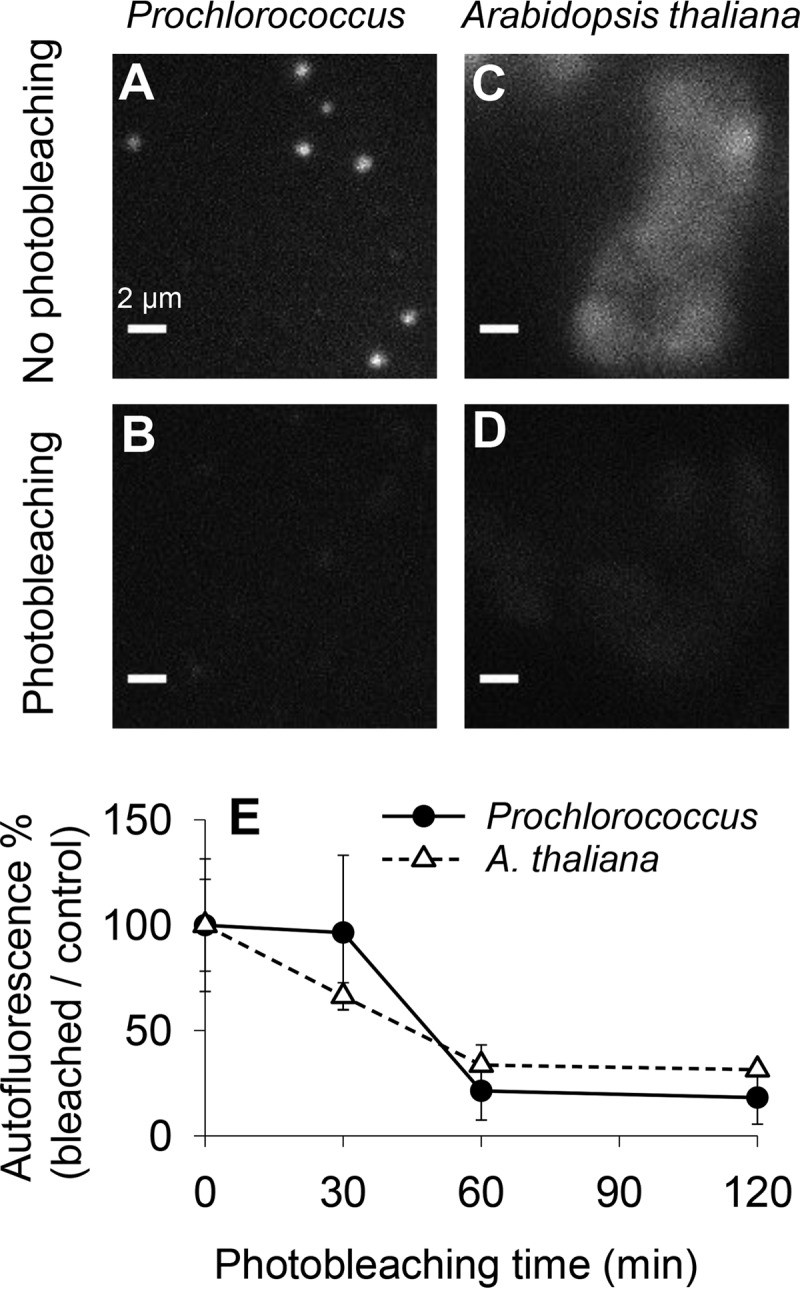 FIG 1 