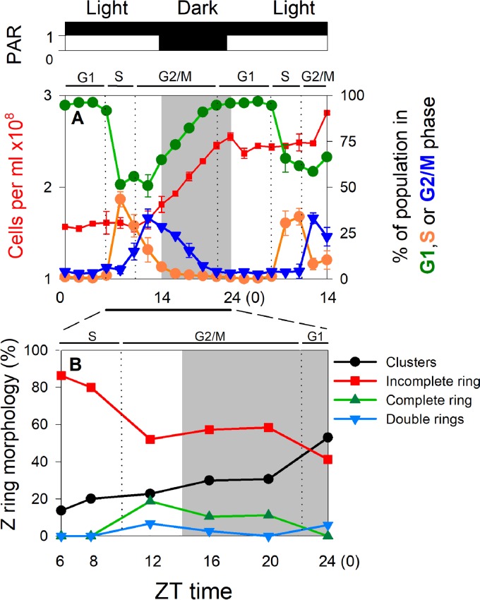 FIG 2 