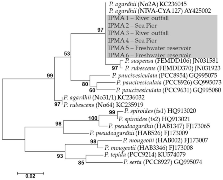 Figure 4