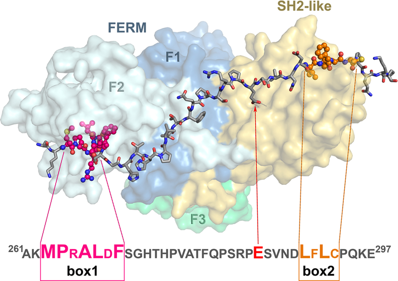 Figure 3.