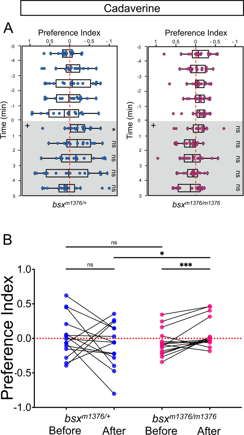 Figure 5—figure supplement 1.