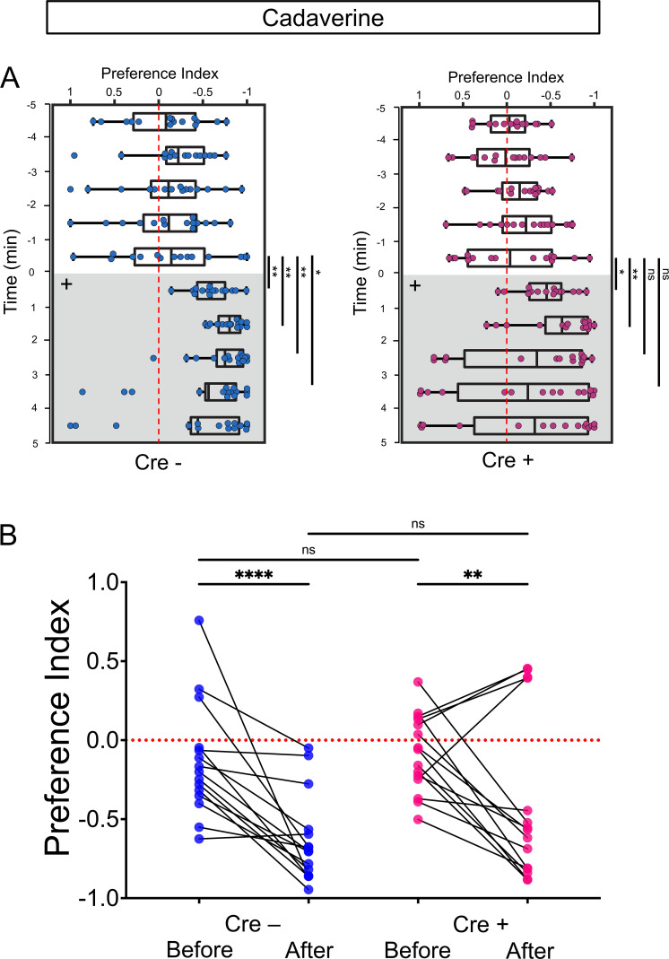 Figure 3—figure supplement 1.