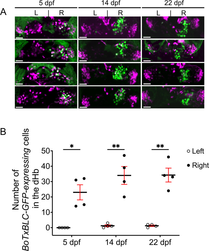 Figure 3—figure supplement 3.