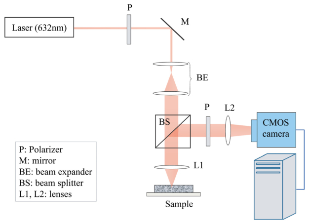 Fig. 1