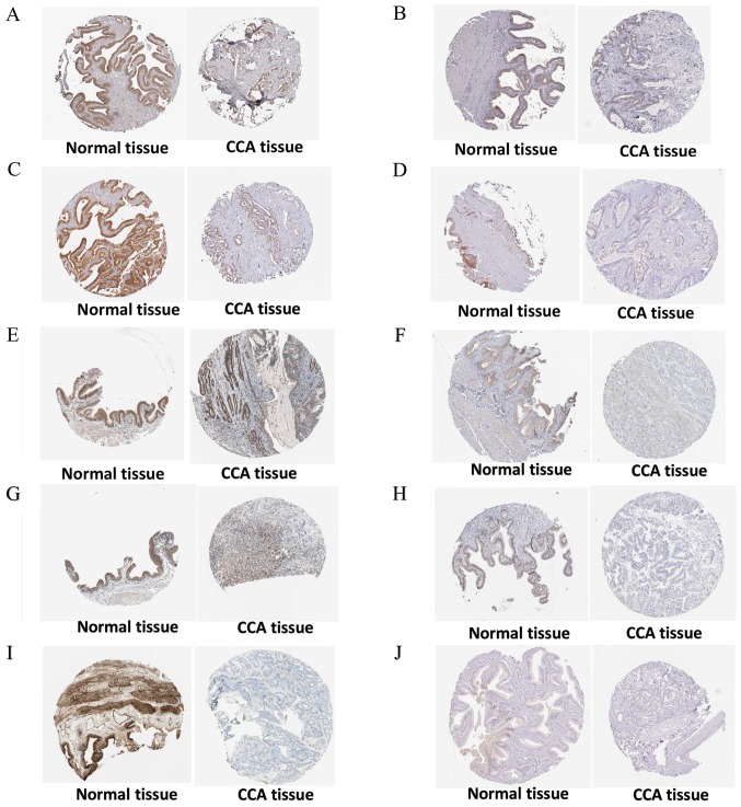 Figure 14.