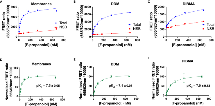 Figure 2