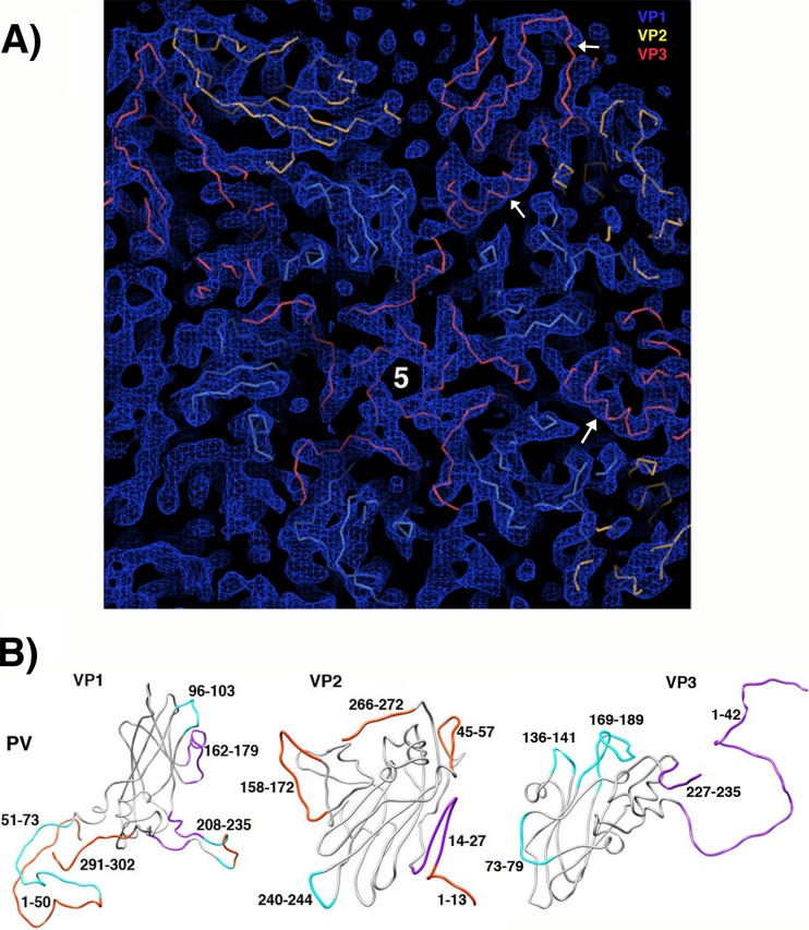 FIG 3