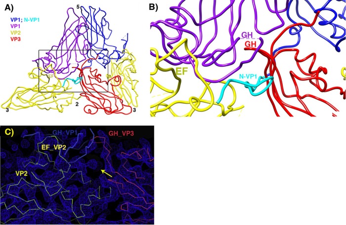 FIG 5