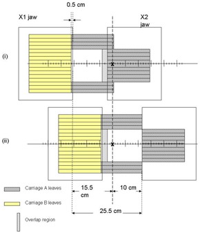 Figure 1(b)