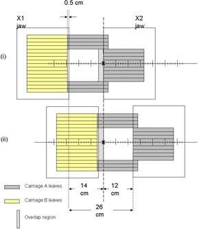 Figure 1(c)