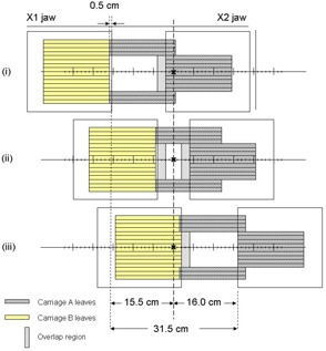 Figure 1(d)