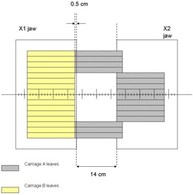 Figure 1(a)