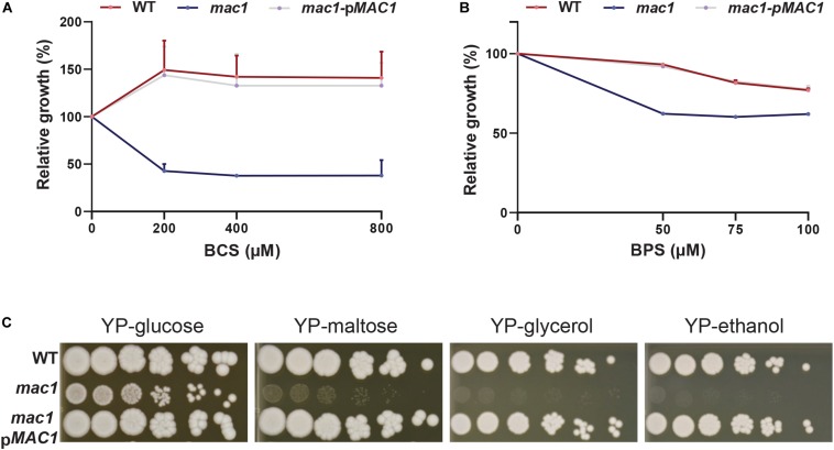 FIGURE 3