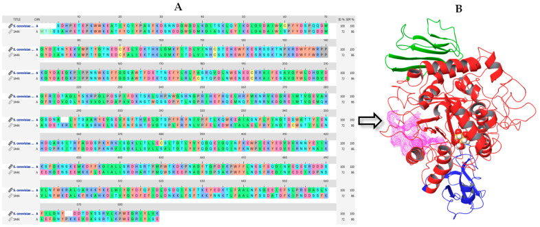 Figure 5