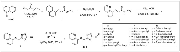 Scheme 1