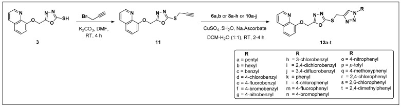 Scheme 3