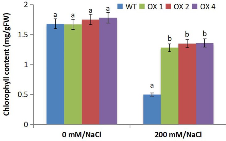 Fig 8