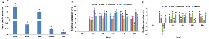 Fig 3