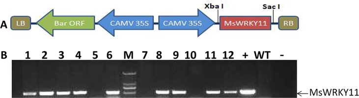 Fig 4