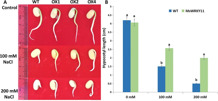 Fig 6