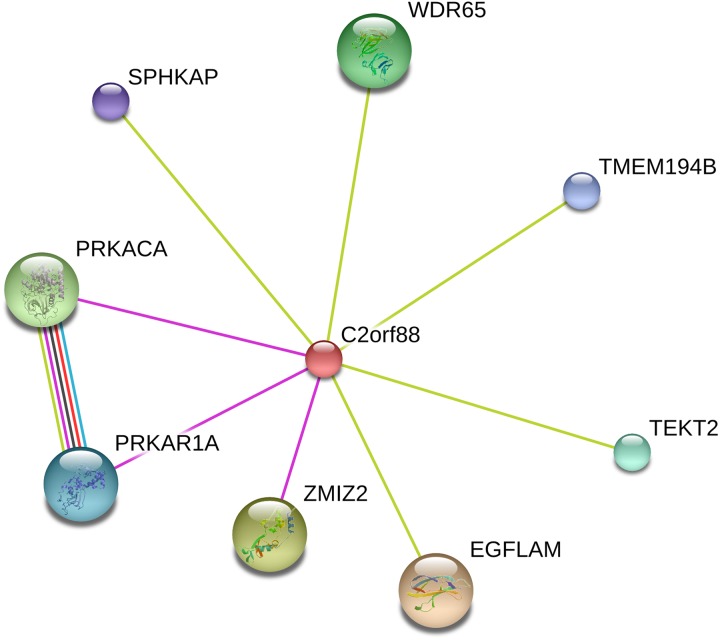 Figure 3.