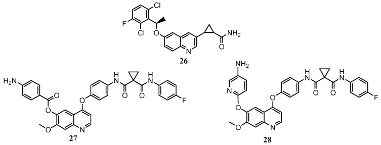 Figure 8