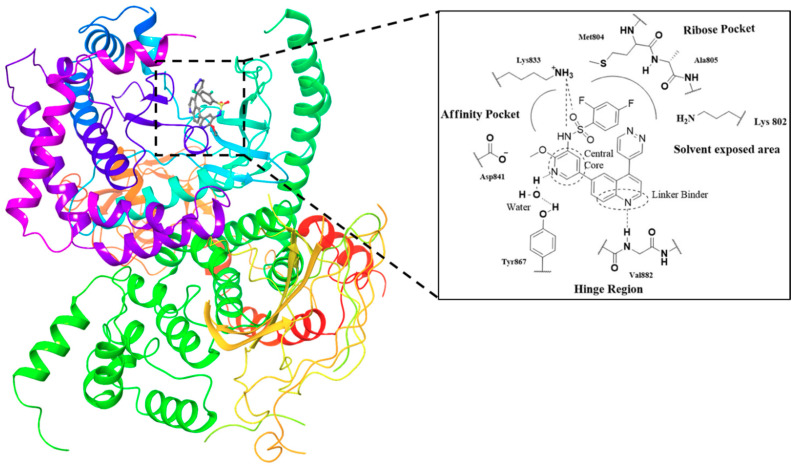 Figure 11