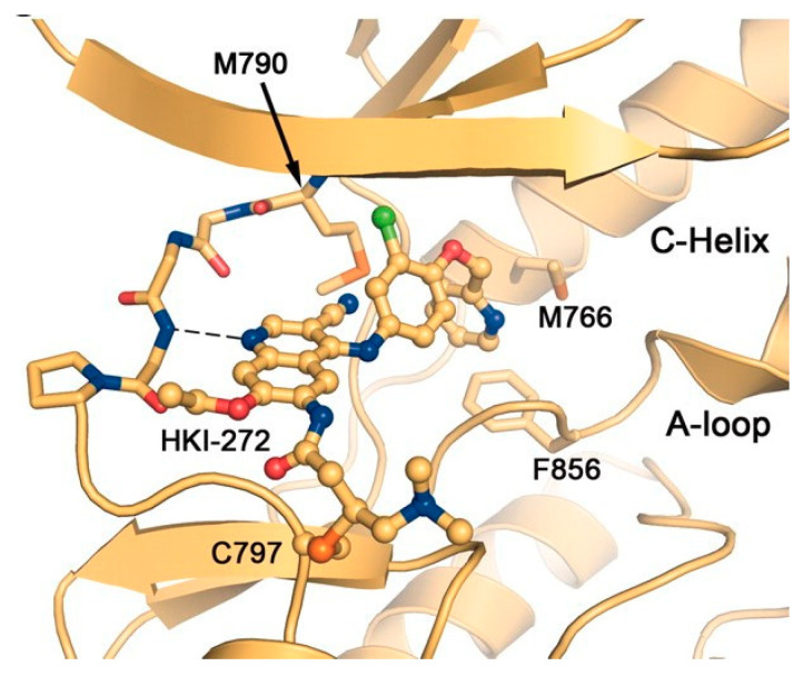 Figure 19