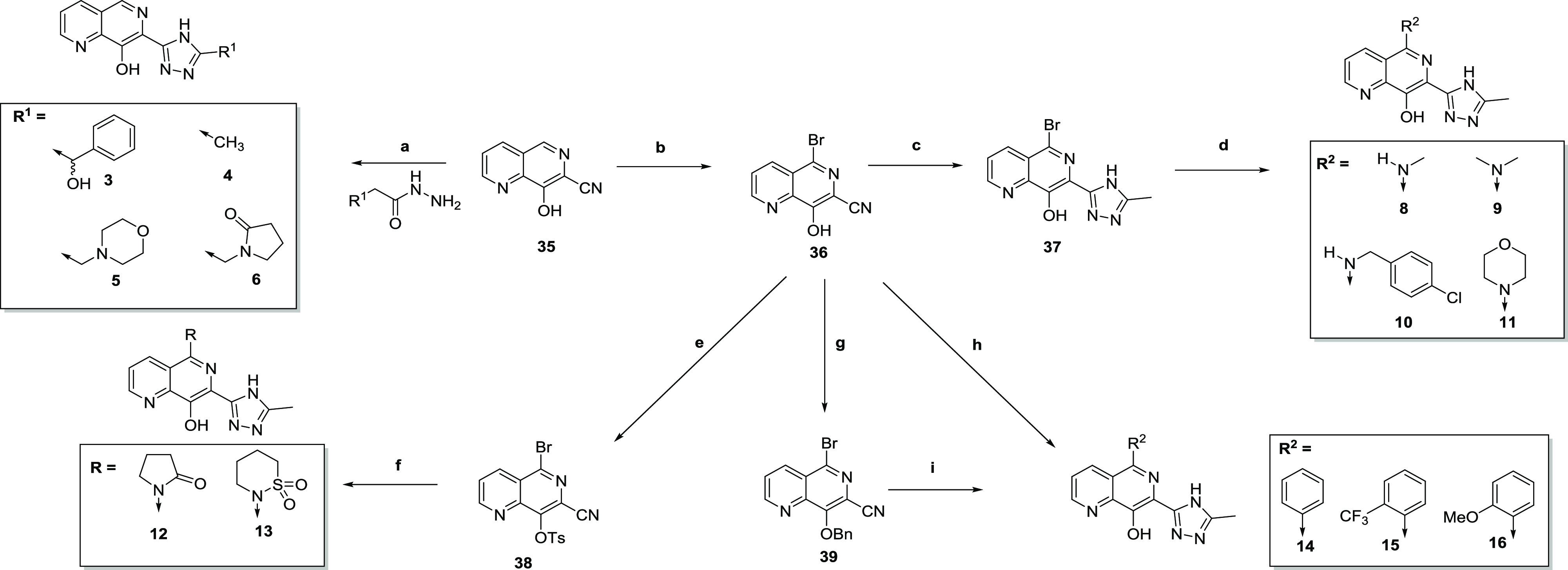 Scheme 1
