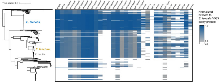 Figure 4: