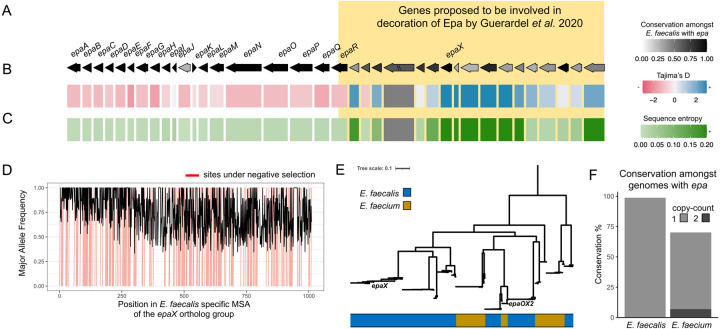 Figure 7: