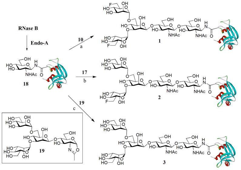 Scheme 3