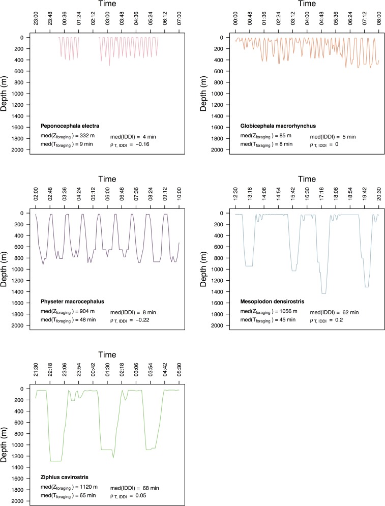 Fig 4