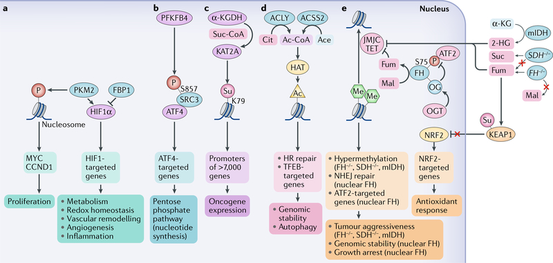 Fig. 6 |