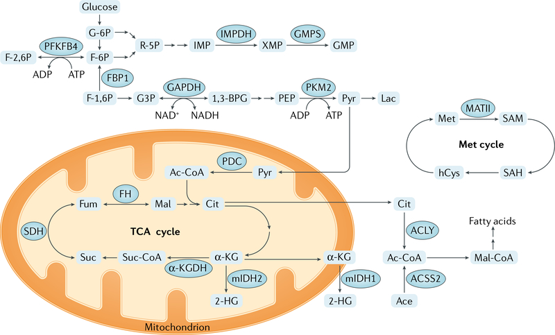 Fig. 3 |