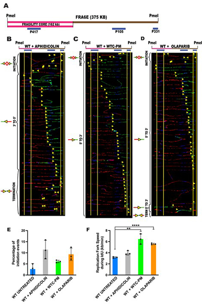 Extended Data Fig. 5