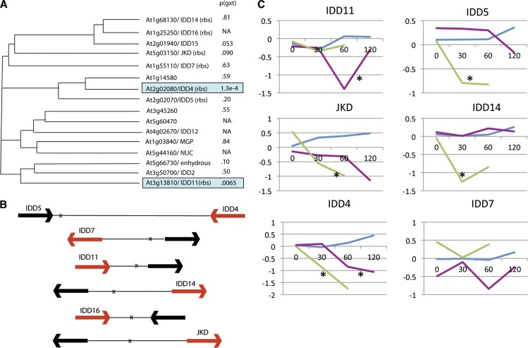 Figure 3.