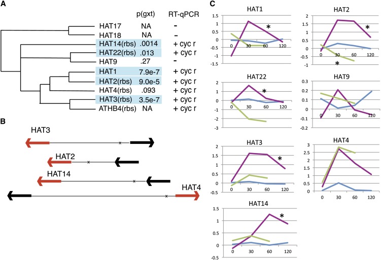 Figure 2.