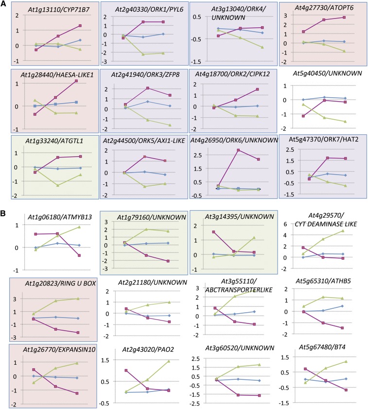 Figure 4.