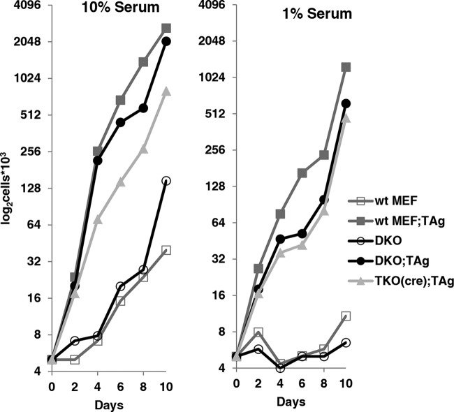 FIG 4