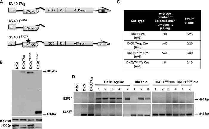 FIG 6