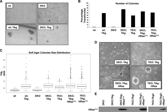 FIG 3