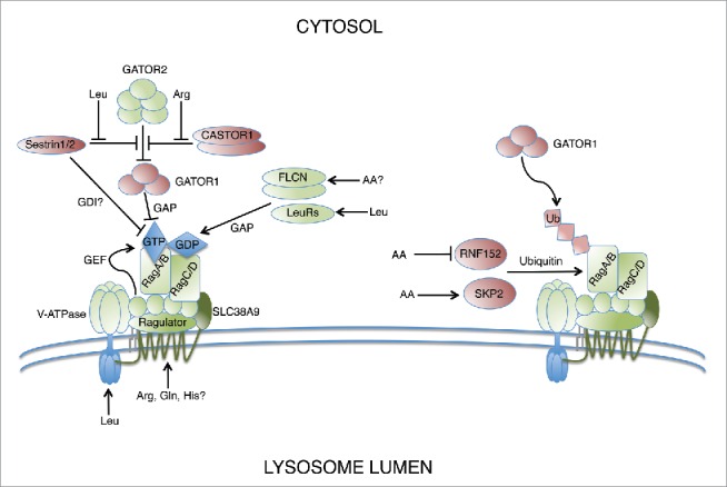 Figure 2.