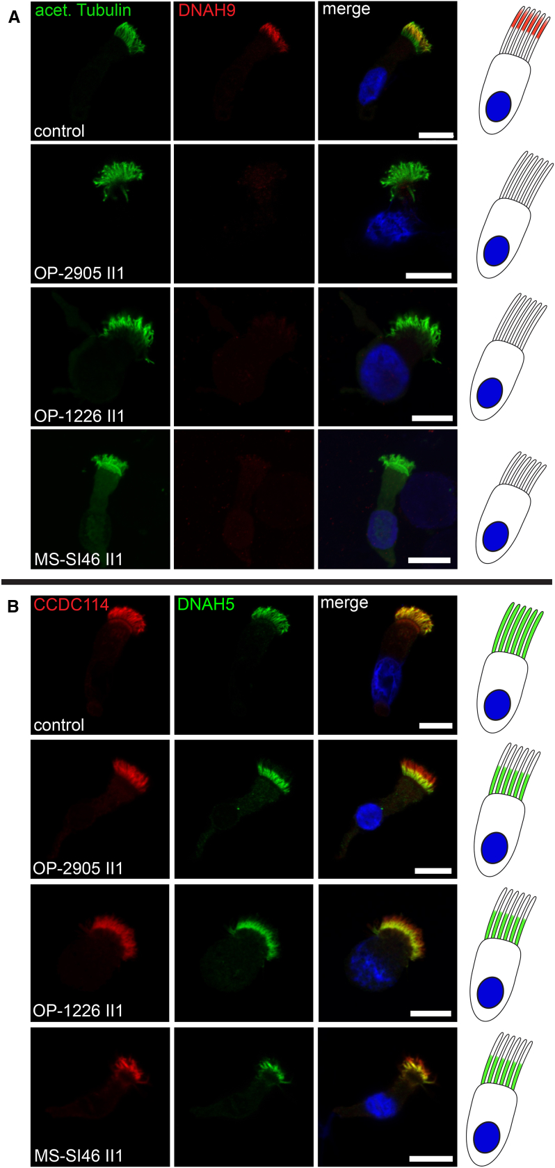 Figure 4