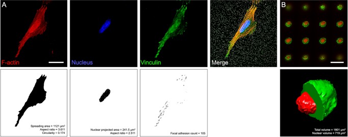 FIGURE 2: