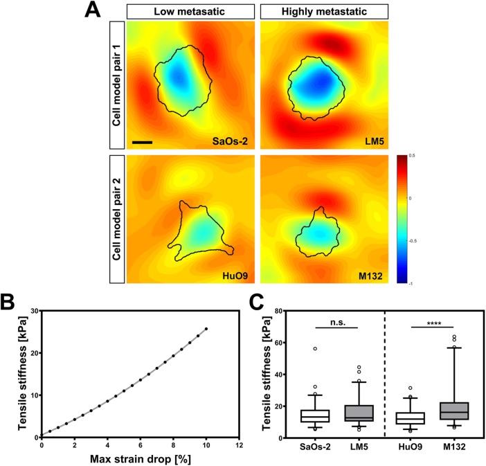 FIGURE 6: