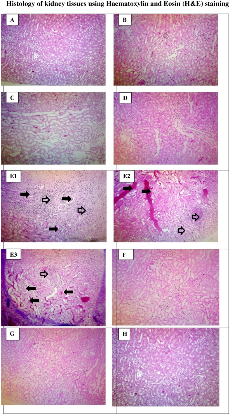 Fig 23