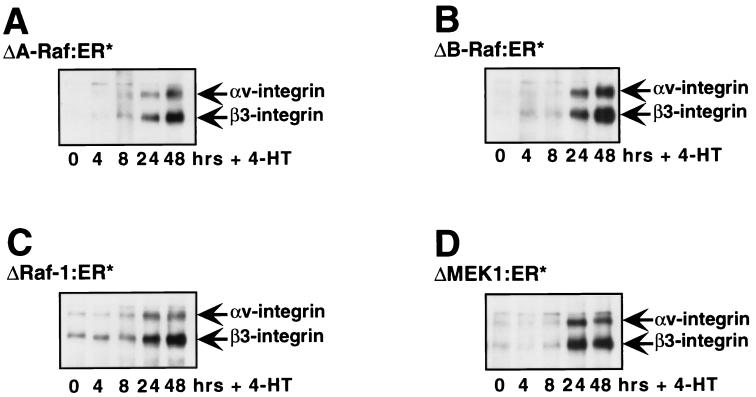 FIG. 5