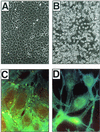 FIG. 8